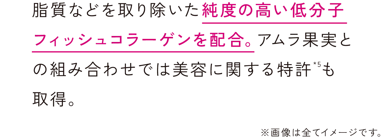 脂質などを取り除いた純度の高い低分子フィッシュコラーゲンを配合。アムラ果実との組み合わせでは美容に関する特許*5も取得。