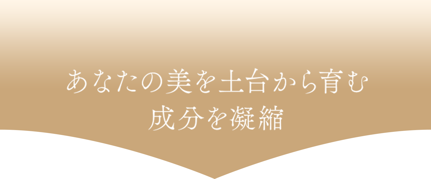 目指したい美しさや毎日に合わせて選べる！5つのラインナップ