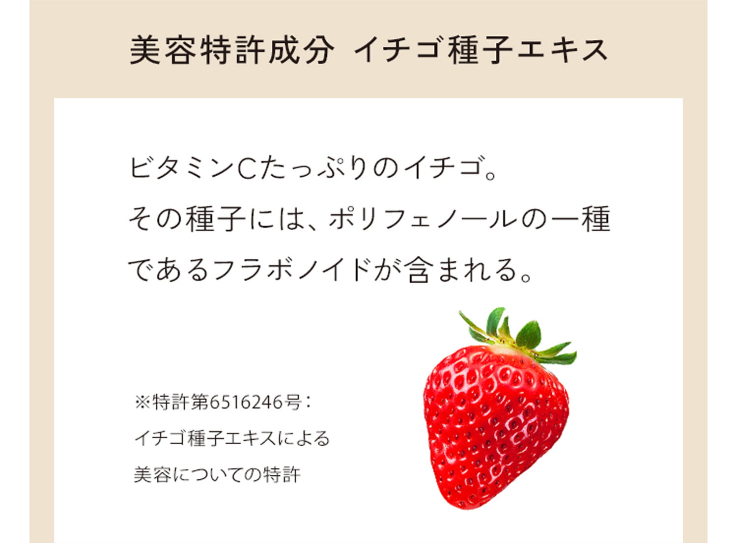 美容特許成分 イチゴ種子エキス ビタミンCたっぷりのイチゴ。その種子には、ポリフェノールの一種であるフラボノイドが含まれる。 ※特許第6516246号：イチゴ種子エキスによる美容についての特許