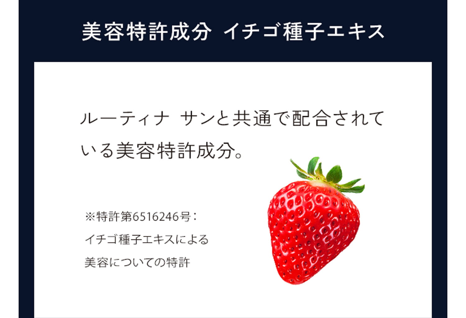 美容特許成分 イチゴ種子エキス ルーティナ サンと共通で配合されている美容特許成分。※特許第6516246号：イチゴ種子エキスによる美容についての特許