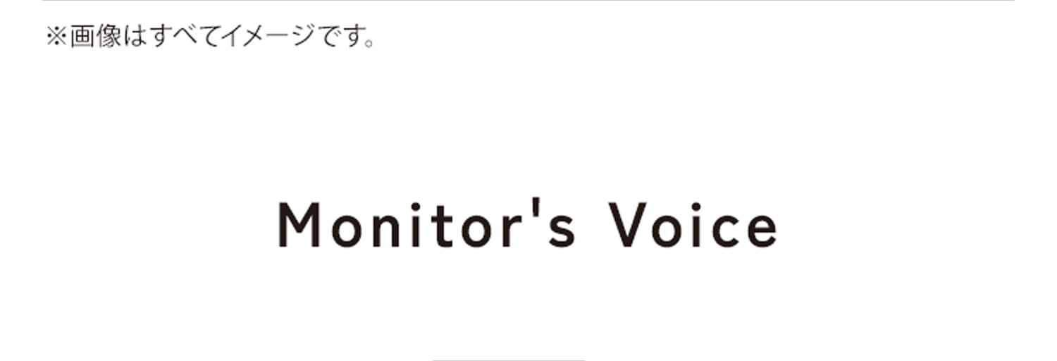 ※画像はすべてイメージです。Monitor's Voice